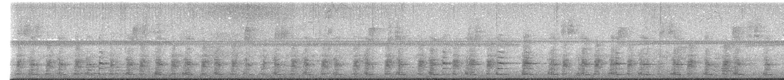 amerikasothøne - ML620828861
