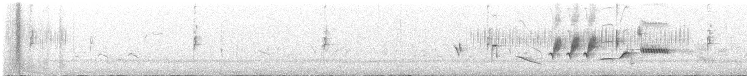 revespurv (schistacea gr.) (skiferrevespurv) - ML620829473