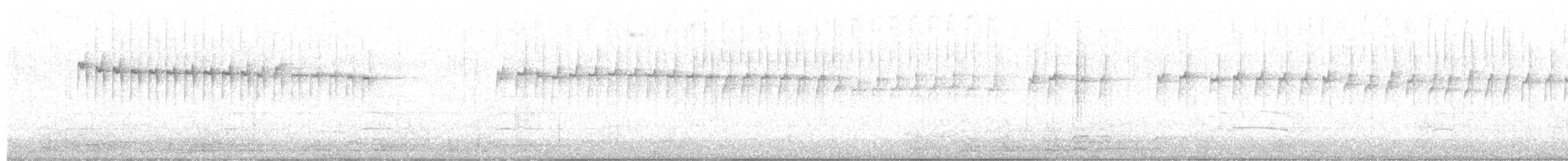 Synallaxe à filets - ML620834025