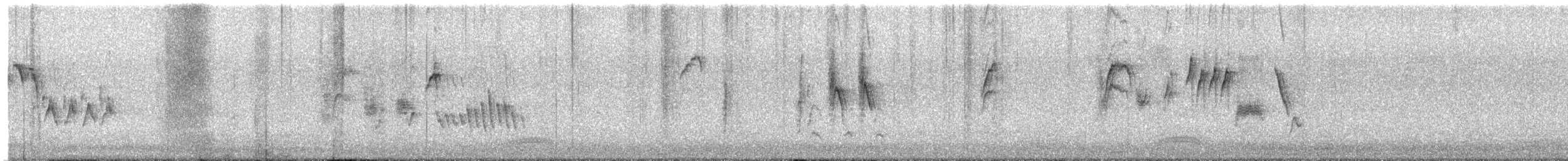 Troglodyte de Bewick - ML620837068