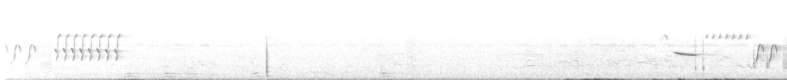 גיבתונית לבנת-גבה - ML620837524