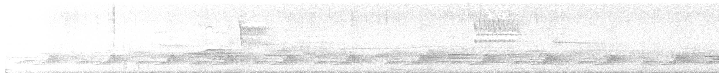 Schwarzkehl-Nachtschwalbe - ML620839715