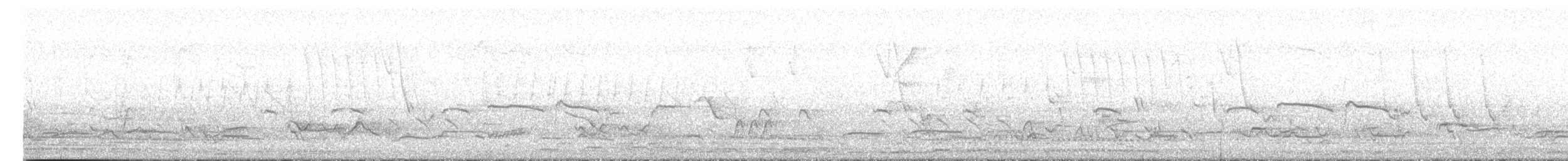 Тиранчик-тонкодзьоб північний - ML620843154