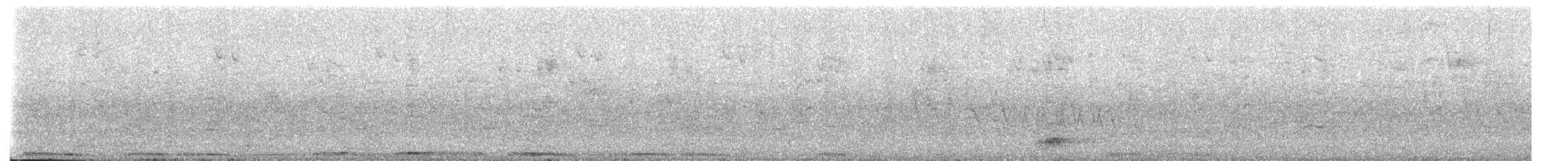 holub hřivnáč [skupina palumbus] - ML620843851