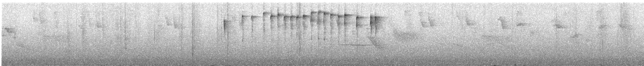 perlestammeløper - ML620844655