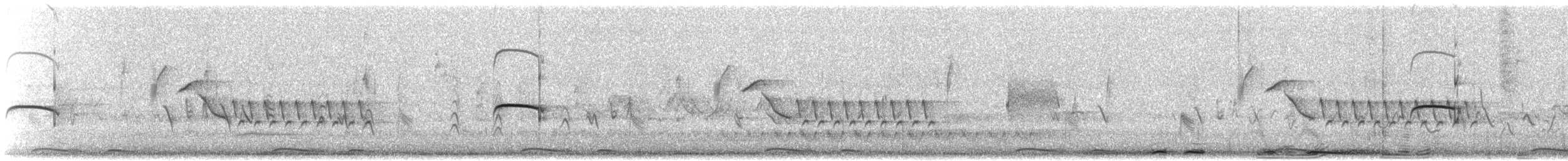 Кактусовый крапивник [группа brunneicapillus] - ML620846682
