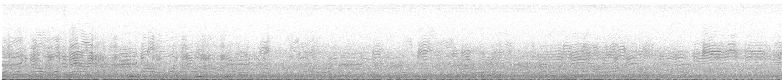 Буревісник cередземноморський (підвид borealis) - ML620853980