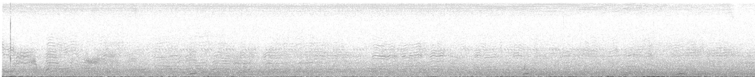 Sepiasturmtaucher (borealis) - ML620853981