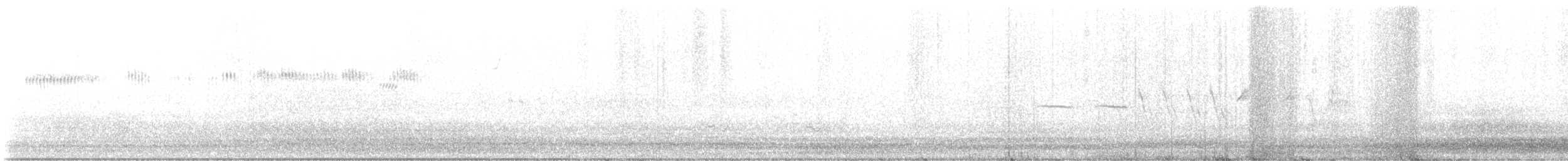 Broad-tailed Hummingbird - ML620854523