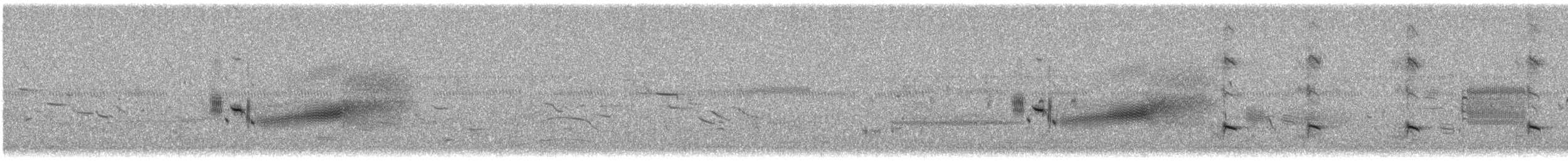 Приморская овсянка-барсучок [группа sennetti] - ML620859486
