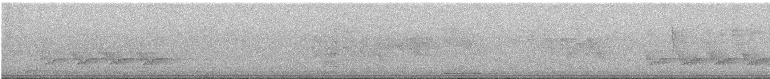 Поплітник каролінський - ML620860848