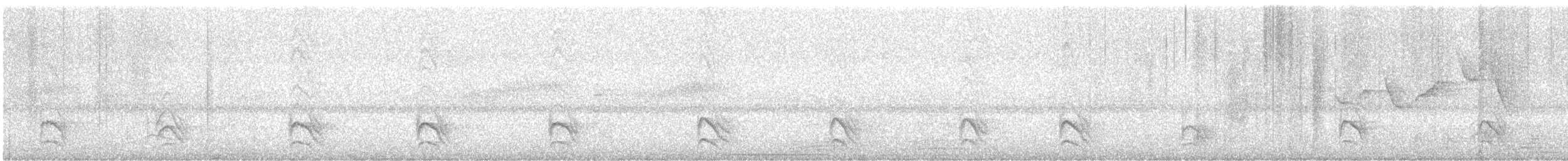 Olivgrau-Ameisenvogel - ML620863735