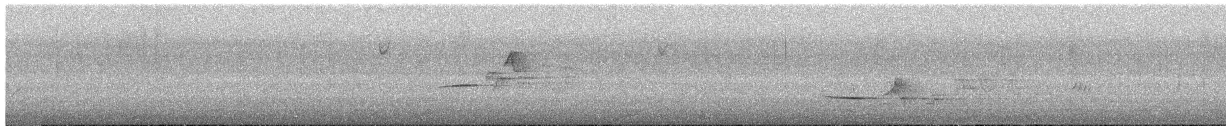 Дрізд-короткодзьоб плямистоволий - ML620863941