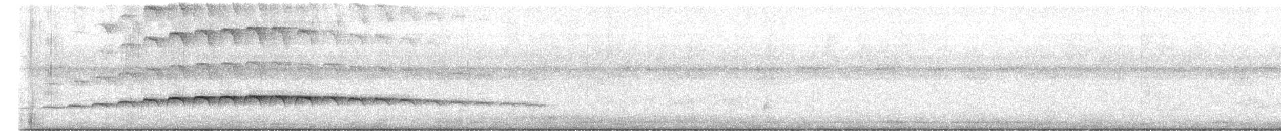 Large-tailed Antshrike - ML620865528