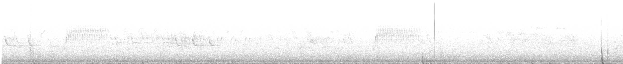 Тауї плямистий - ML620868443