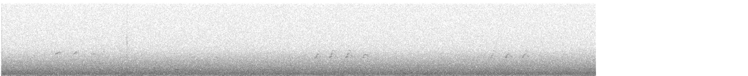 Breitspiegel-Nachtschwalbe - ML620871184