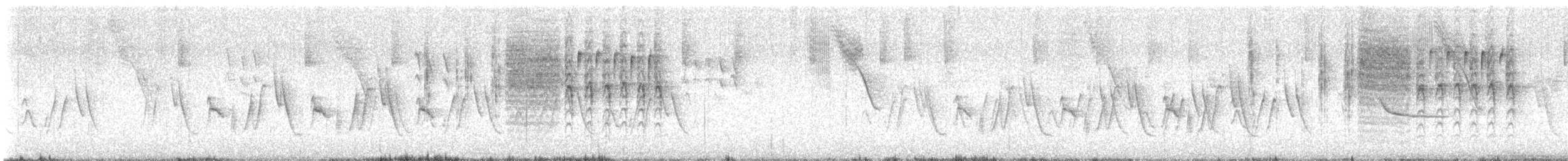 Grass Wren (Northern) - ML620872635