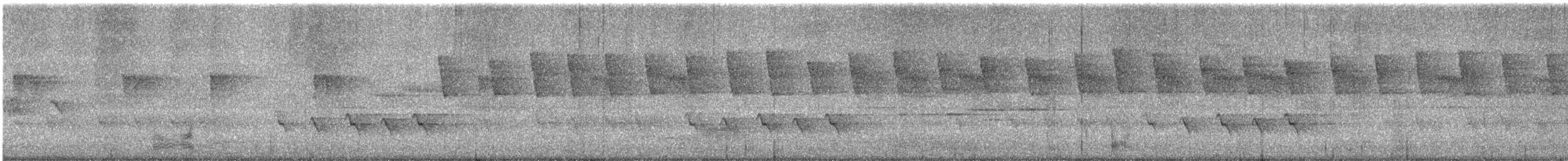 Allotrie siamoise (groupe aeralatus) - ML620872859