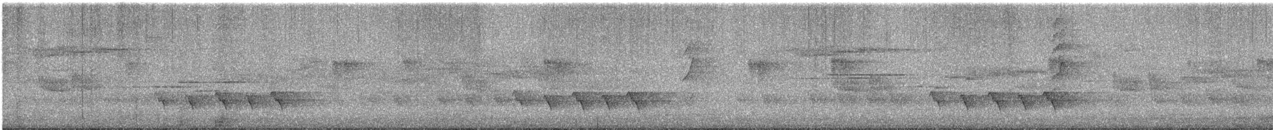 Allotrie siamoise (groupe aeralatus) - ML620872860