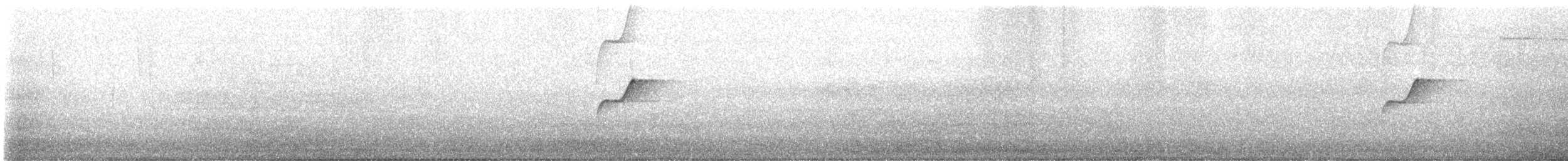 Batı Amerika Sinekkapanı (occidentalis/hellmayri) - ML620874362
