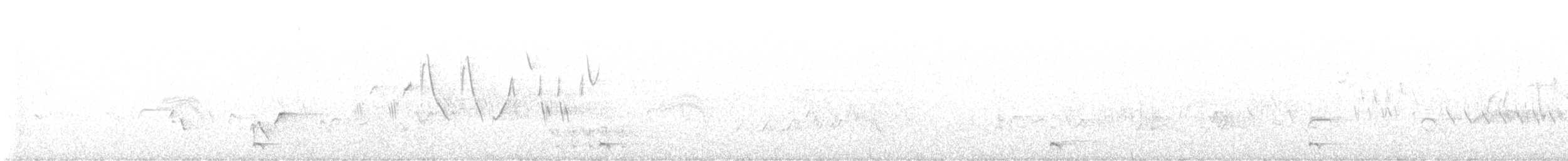 Сичик-горобець гірський - ML620874852
