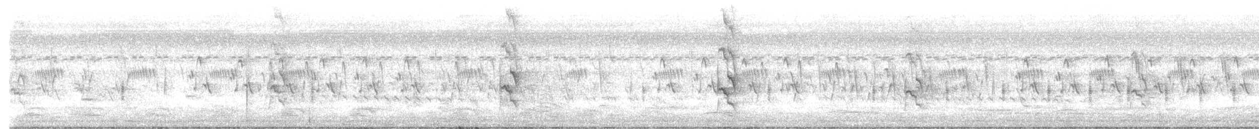 灰胸秧雞 - ML620880810