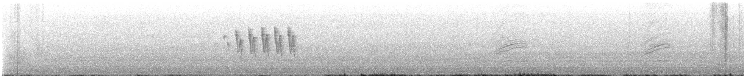 eremittskogtrost (guttatus gr.) - ML620881138