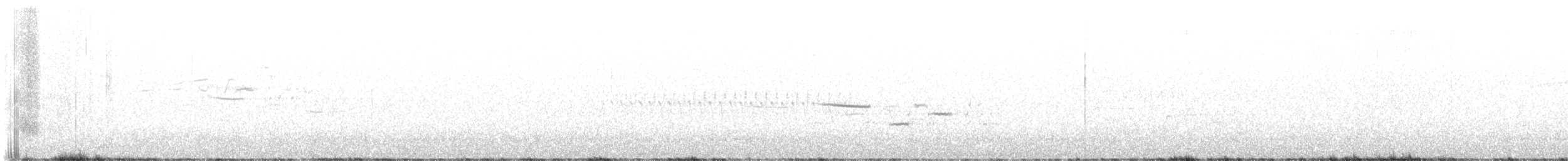 eremittskogtrost (guttatus gr.) - ML620881139