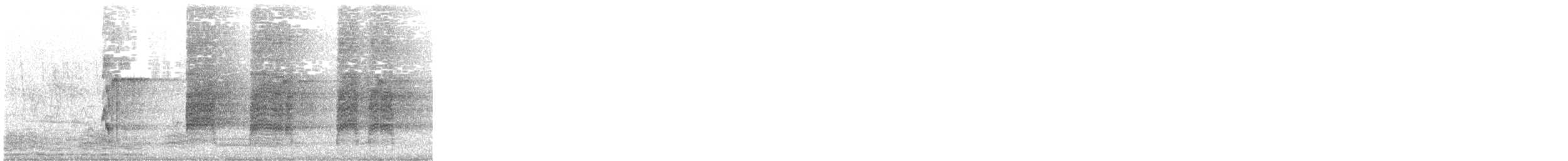 Black Francolin - ML620881179