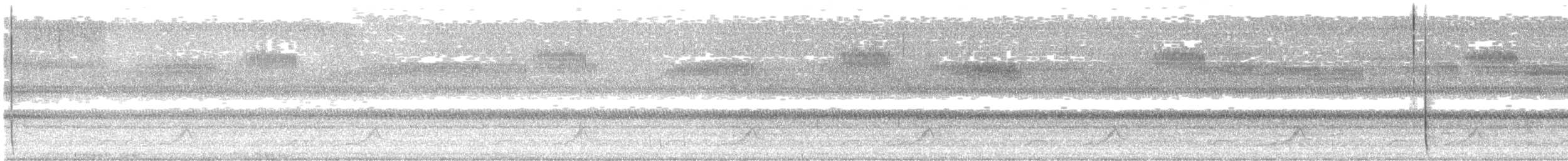 Eastern Whip-poor-will - ML620883260