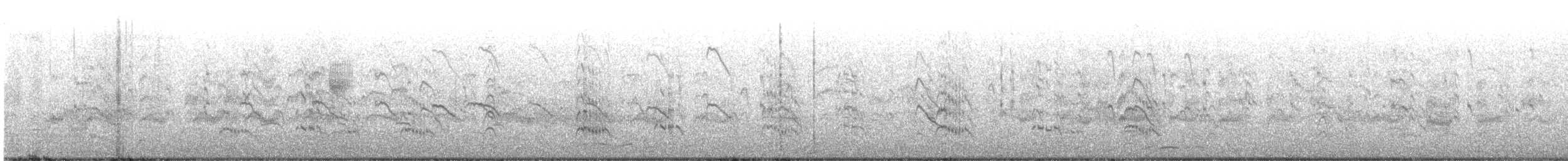 שחפית ים - ML620886443