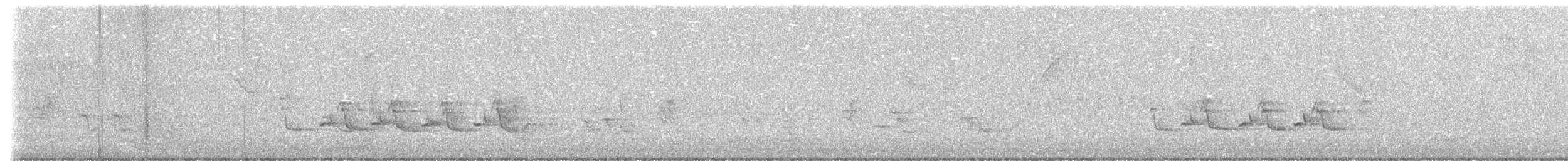 Поплітник каролінський - ML620887554