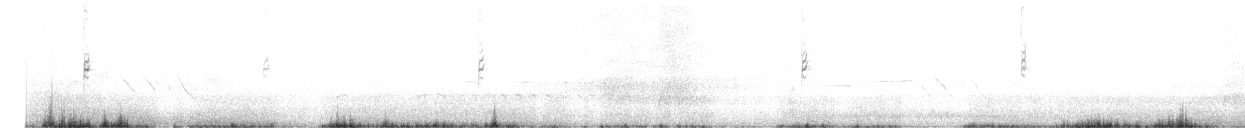 Bruant à couronne blanche (nuttalli/pugetensis) - ML620887801