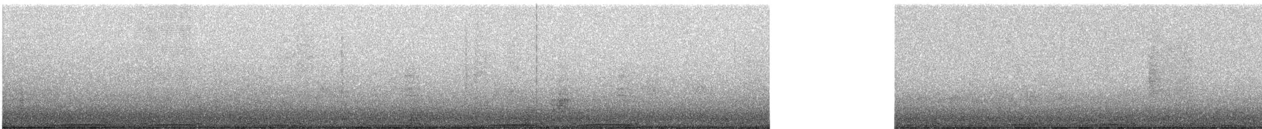 holub skalní (domácí) - ML620890065