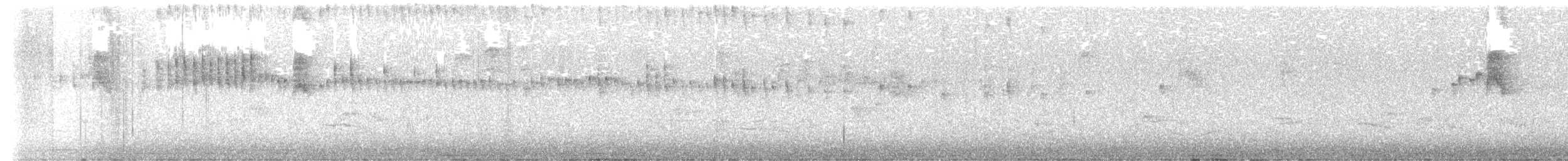 Schieferrücken-Königstyrann - ML620894300