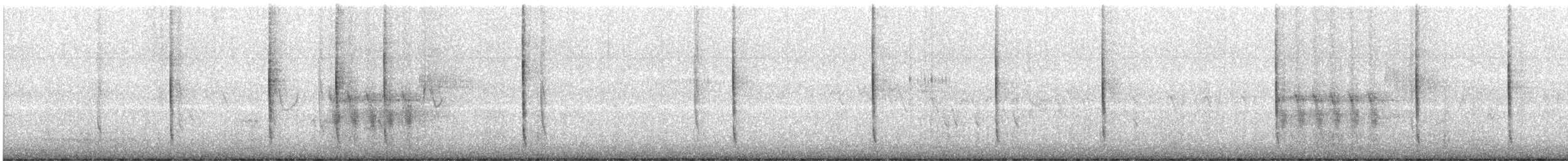 Широкохвостый колибри - ML620894548