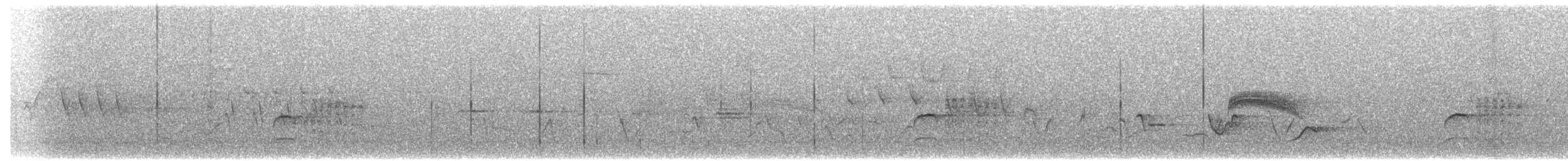 Дрізд-короткодзьоб Cвенсона - ML620894858