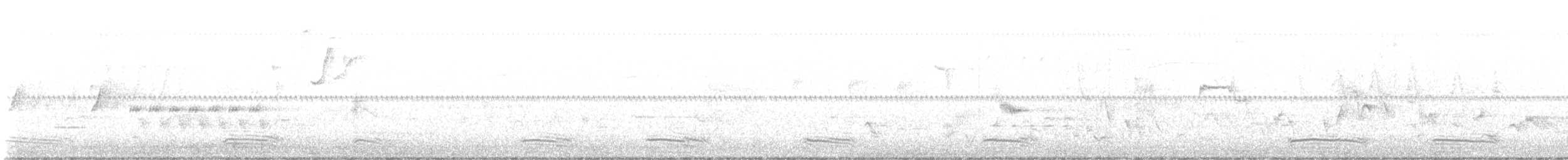 Corvus sp. (crow sp.) - ML620896268