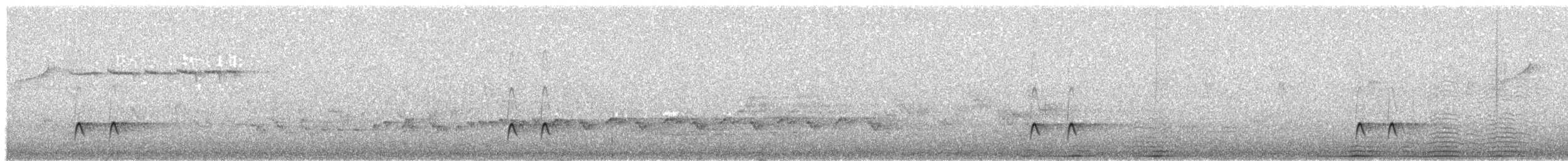 Moucherolle à côtés olive - ML620897811