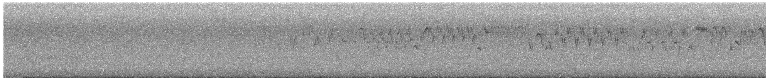Troglodyte de Baird - ML620897910