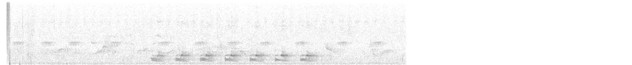 Trogon élégant (groupe ambiguus) - ML620897948