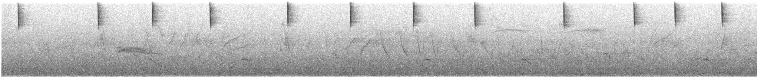 Bruant familier - ML620897973