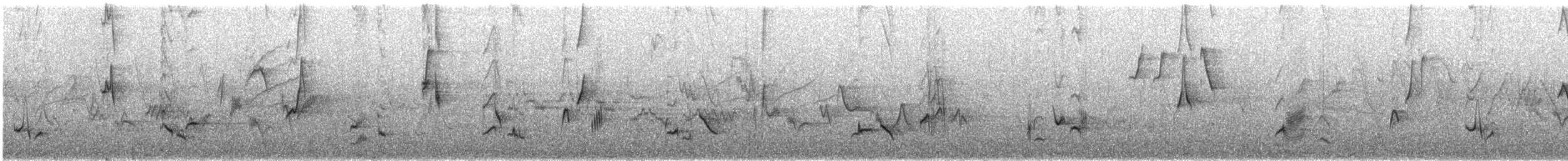 Moqueur chat - ML620898017