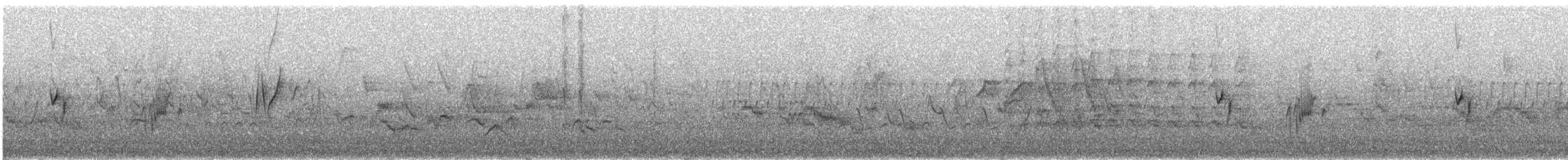 Moucherolle sombre - ML620898056