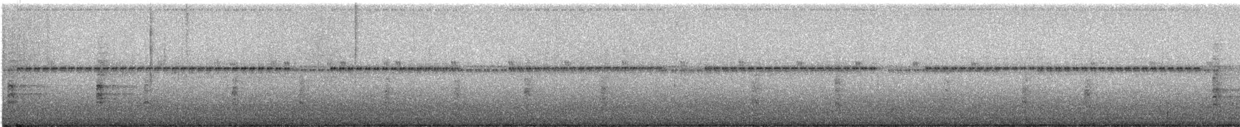 Clapper Rail - ML620901239