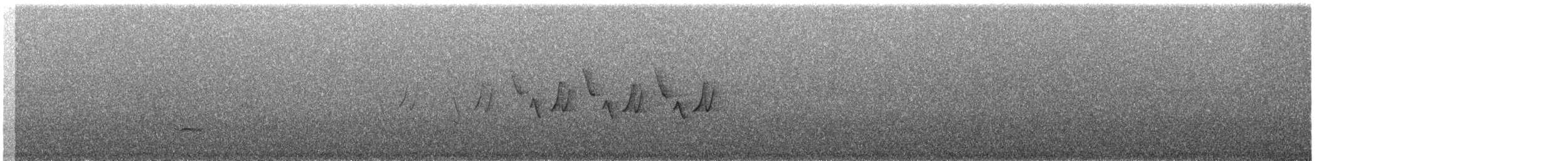 Paruline masquée - ML620904779