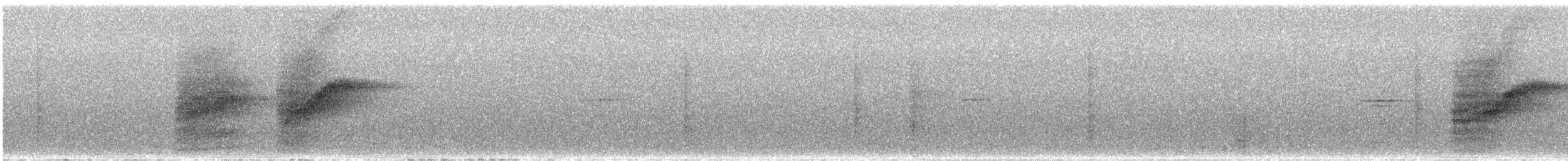 Eichelhäher [bispecularis-Gruppe] - ML620906508