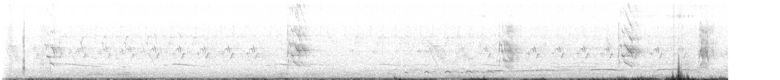 Gray-bellied Cuckoo - ML620907381