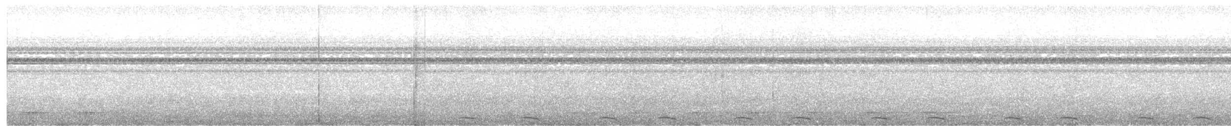 Bar-tailed Trogon - ML620911038