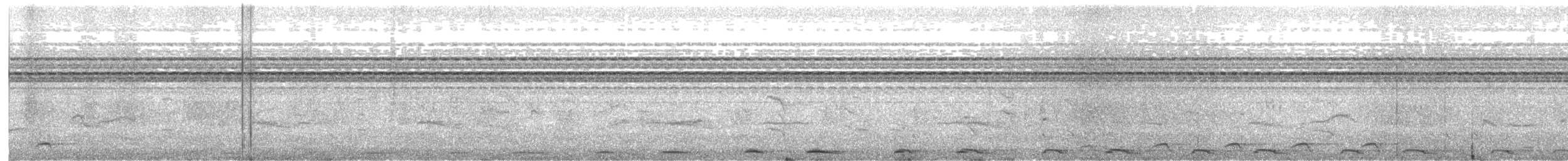 Bar-tailed Trogon - ML620911039